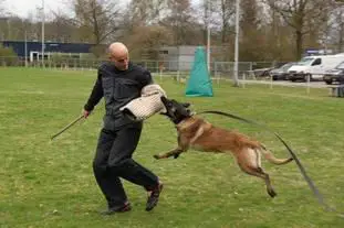 Kelly van der Lobo Hoeve