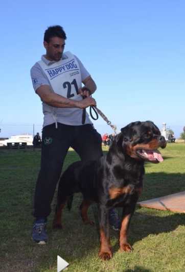 Romeo vom Engelblick