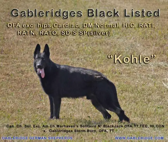 Gableridges Black Listed