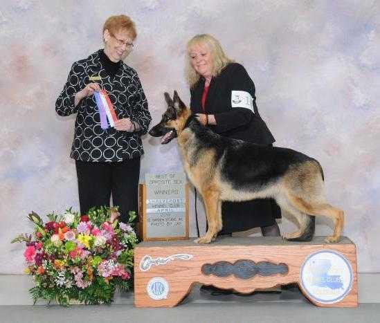 Peakes Brook On Our Way South Star