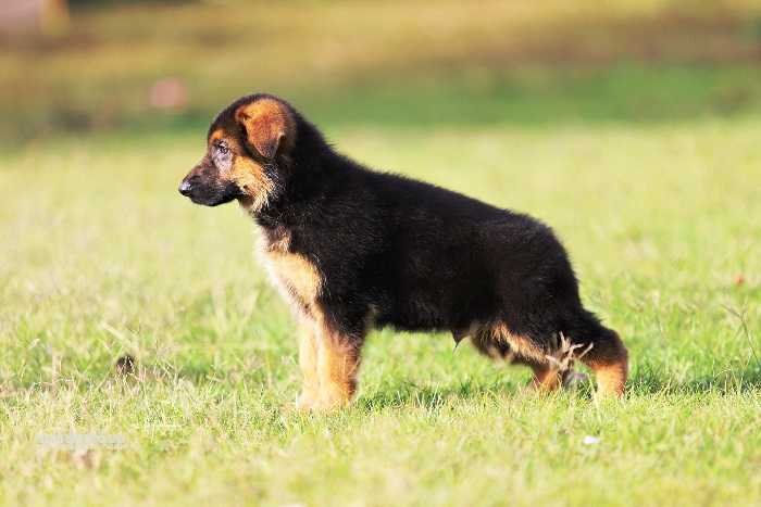 Relax vom Branch Mark