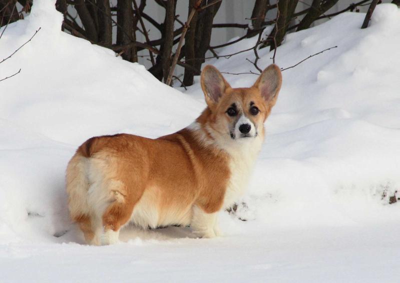 Frei Wind Yuteyla (n/b)