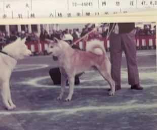 Takemaru Go Hakuyuusou