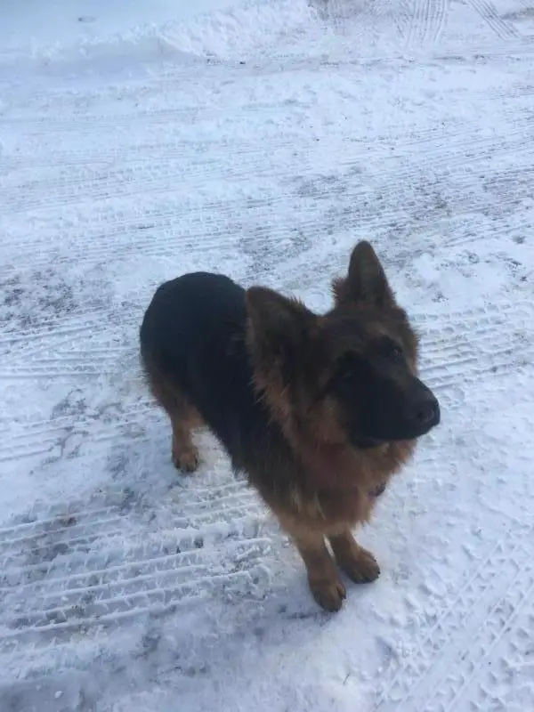 Stryker’s Legacy Illusion