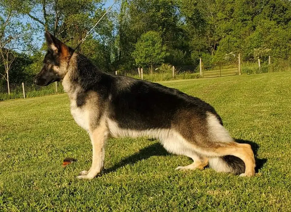 OHBIS Hammersmith Flashes of Sin