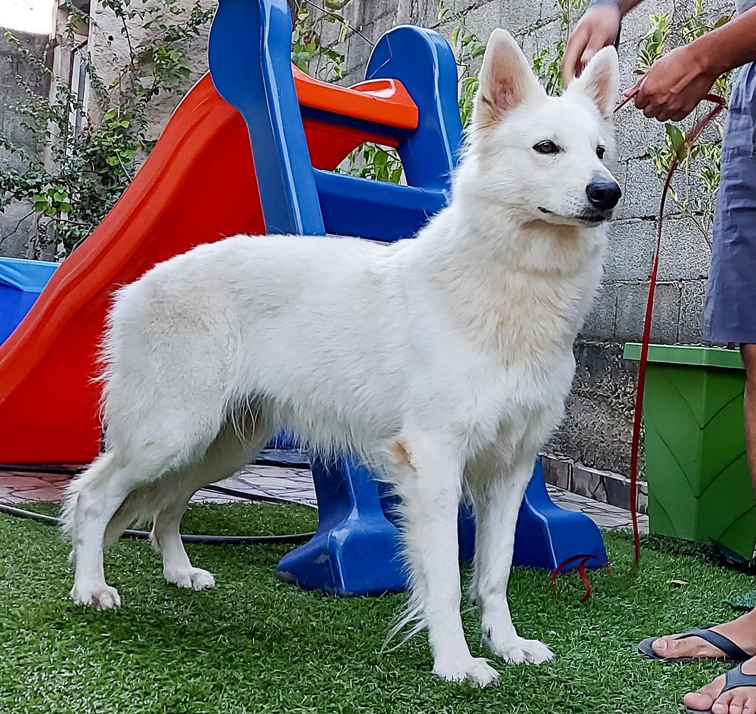 Ruby Von Taglischindorf