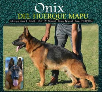 Onix Del Huerque Mapu