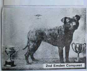 Emden Conquest