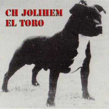CH Jolihem El Toro