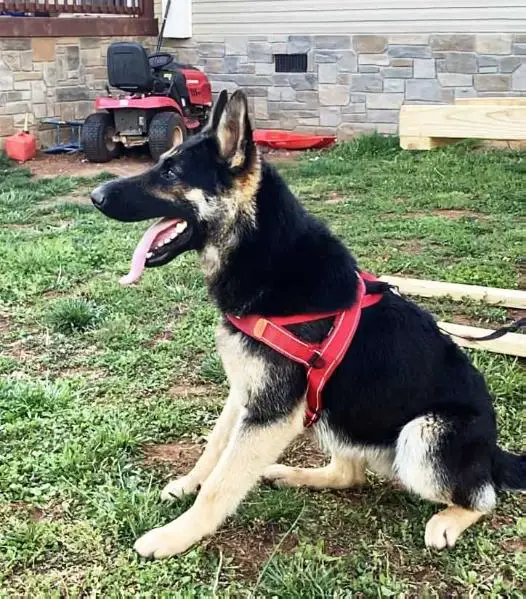 Xena Von Der Clifton