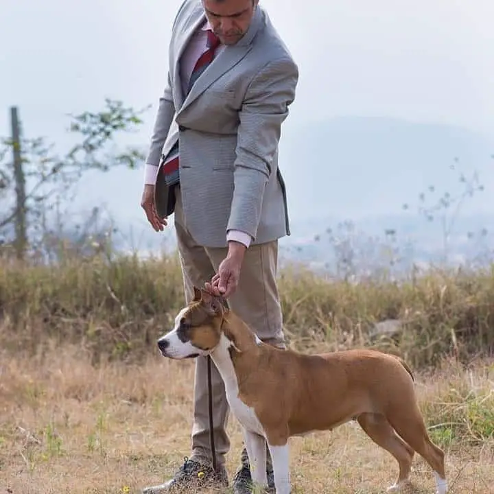 BIS Alisha de Tazzos