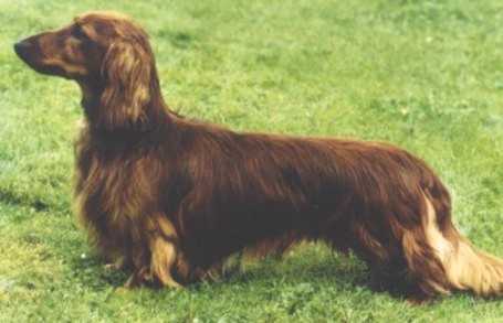 Gewurtztraminer Guili-Guili