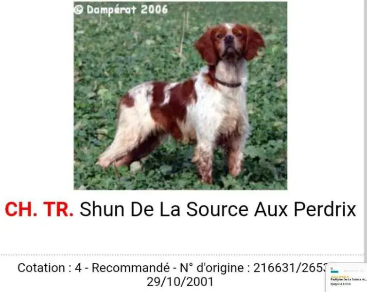 CH.TR. 6 SHUN de la sources aux perdrix