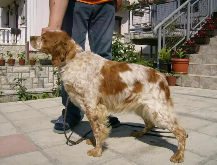 TEA Alessandro&Nicola