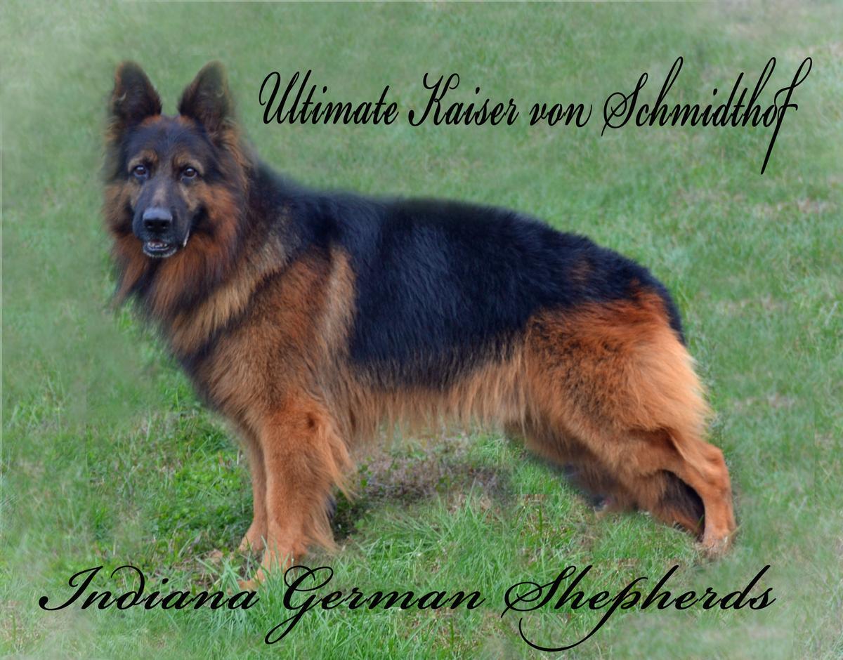Ultimate Kaiser von Schmidthof
