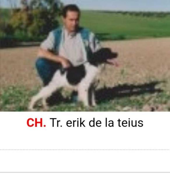CH.TR. ERIK de la Teius