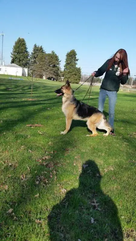 Windborne's Escapade Of Oh My