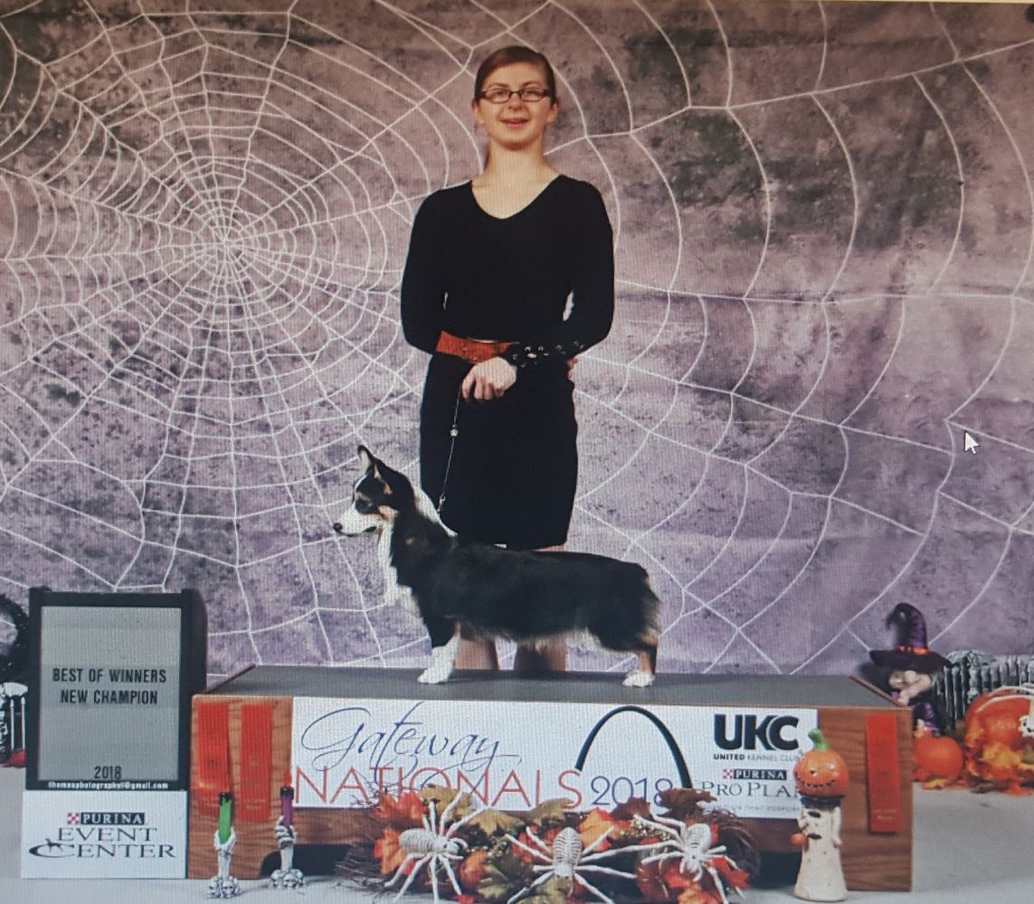 UKC GRCH VINTAGE NAVIGATING BY THE STARS