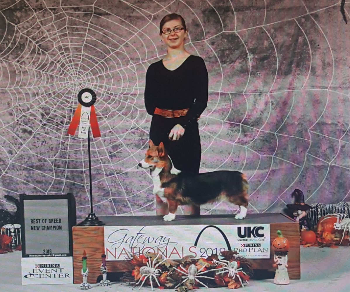 UKC GRCH VINTAGE UNCONTESTED STAR POWER