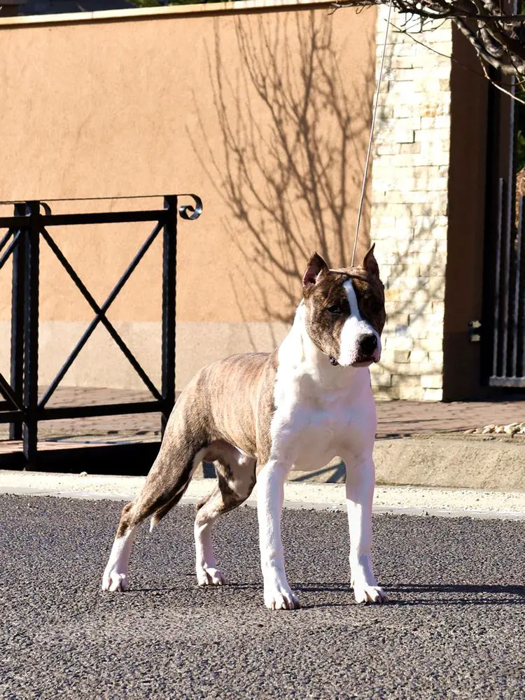 Morning Café from SerendipityStaff