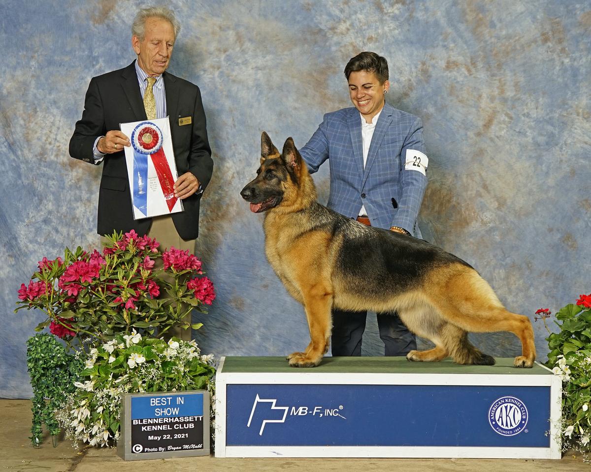 GCH. (US) CH. Hollow Hills' Steele River
