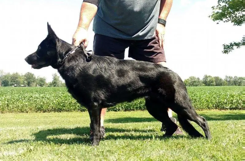 Dany von den Sportwaffen