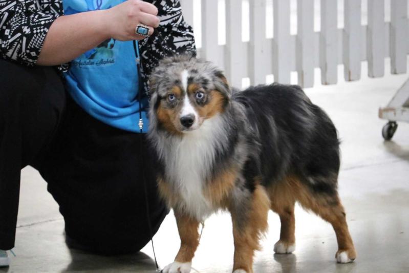 Rose Hills Cross L's Brooks