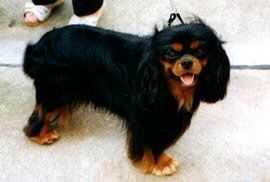 CH SEAN PANTA RHEI V. ‘T HEESKE