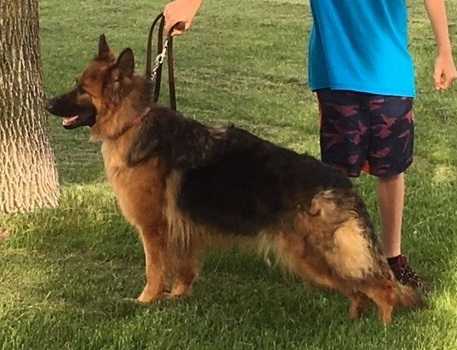 Sasha von Sparr