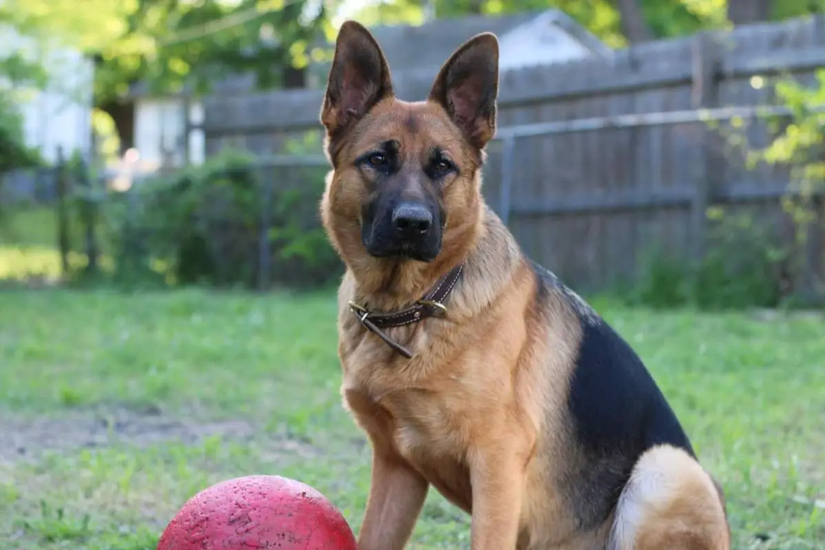 Oura vom Hohlen Huegel