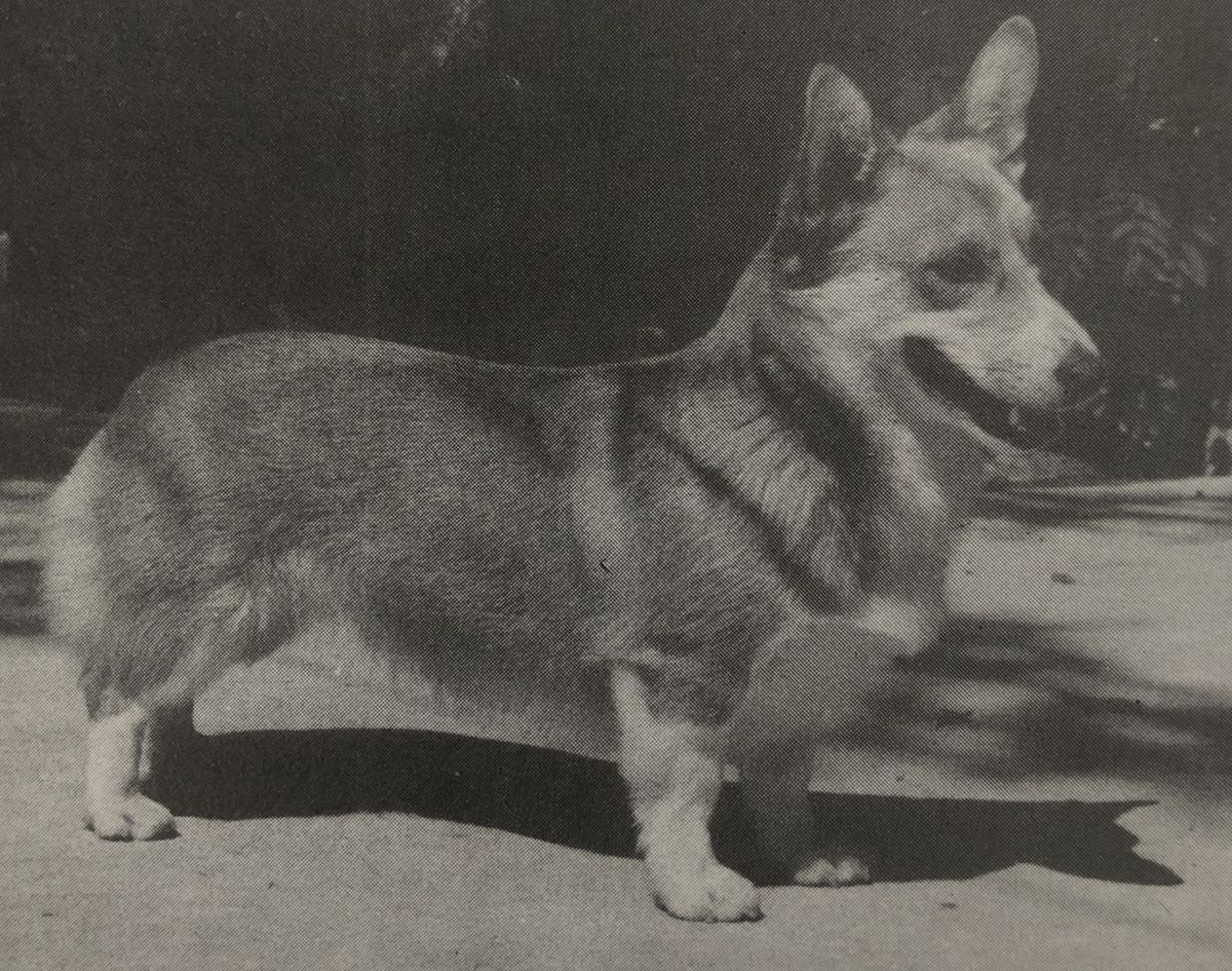 CH Sherwyn Magic Moment