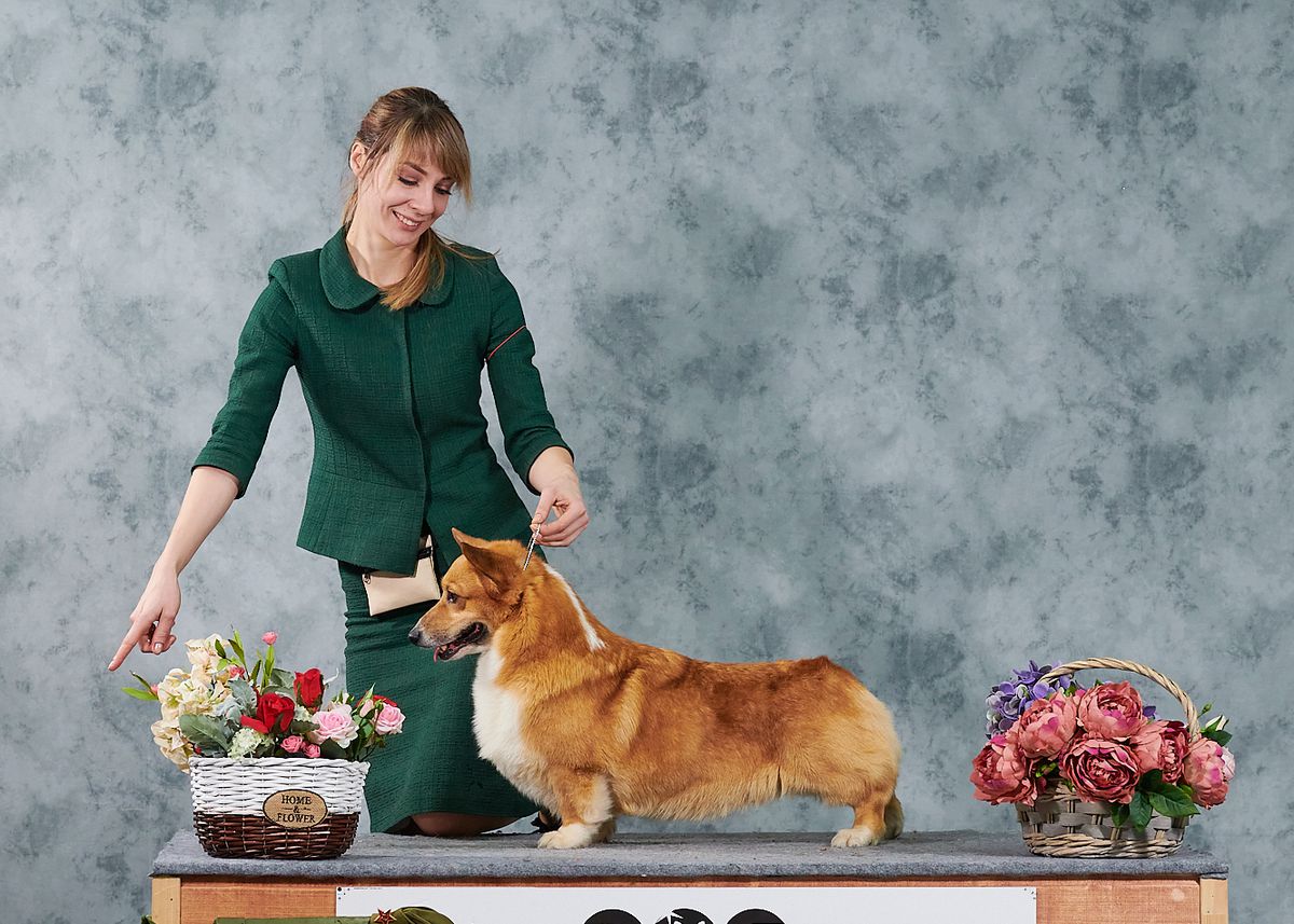 Champion of America,  Champion of Russia Amsburg’s Own Thinking Out Loud