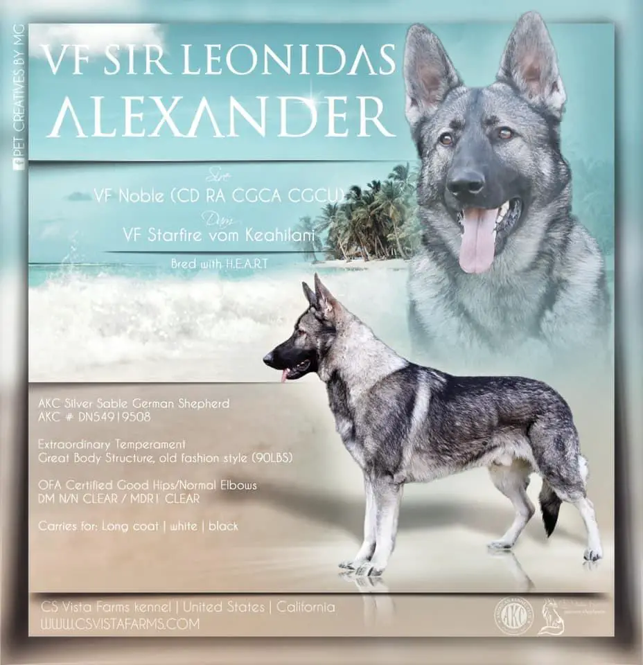 VF Sir Leonidas Alexander