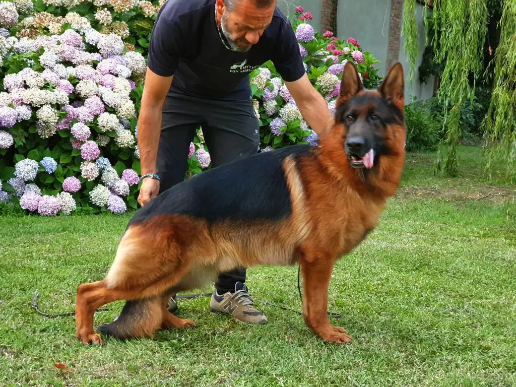 V Quinto vom Klostermoor