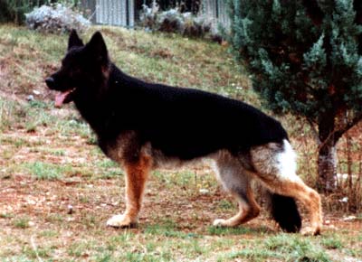 SG Kim von der Werrainsel