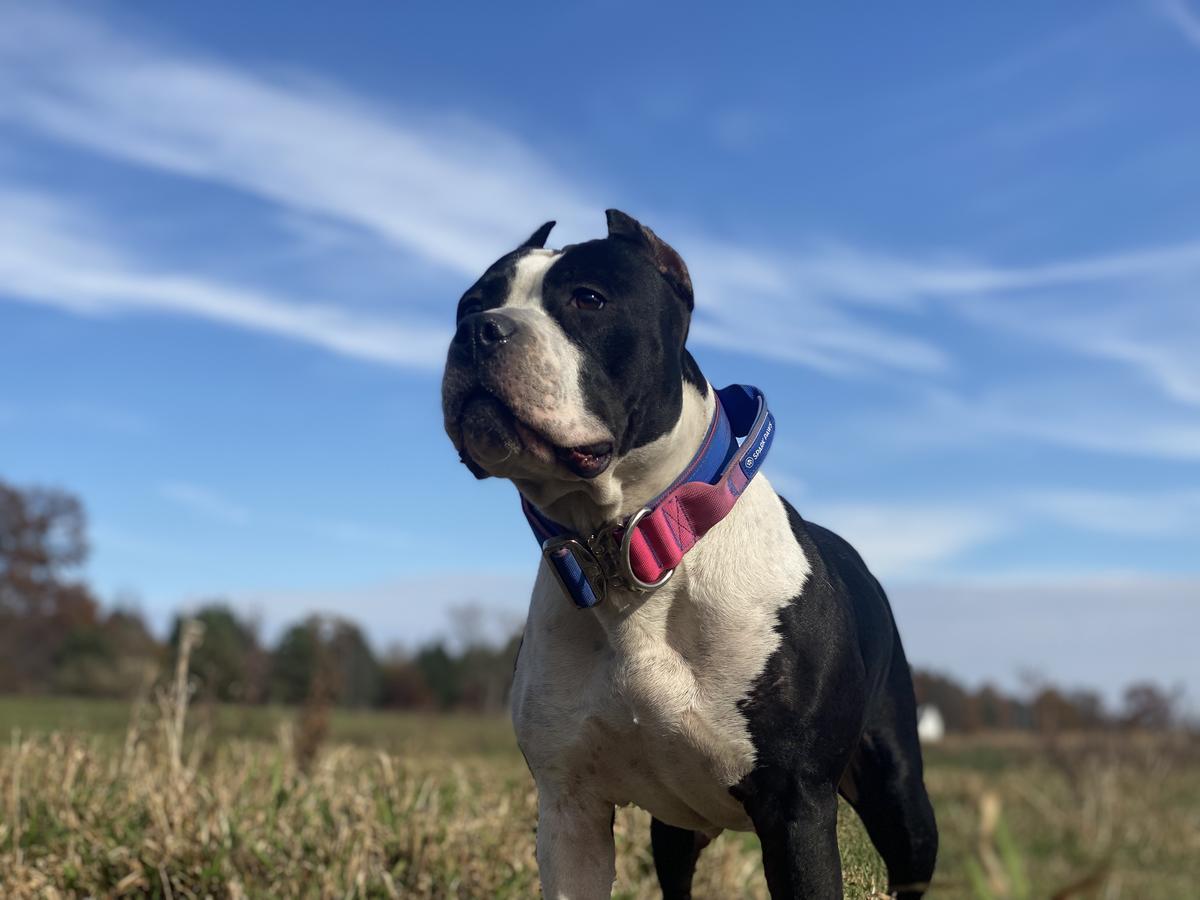 Gunsmoke’s Innie Minnie Miney Mo