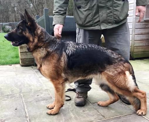 Udet vom FREESE LAND