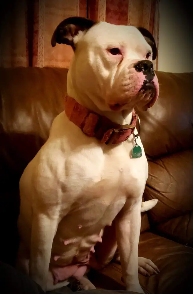 Mary Jane Holstein