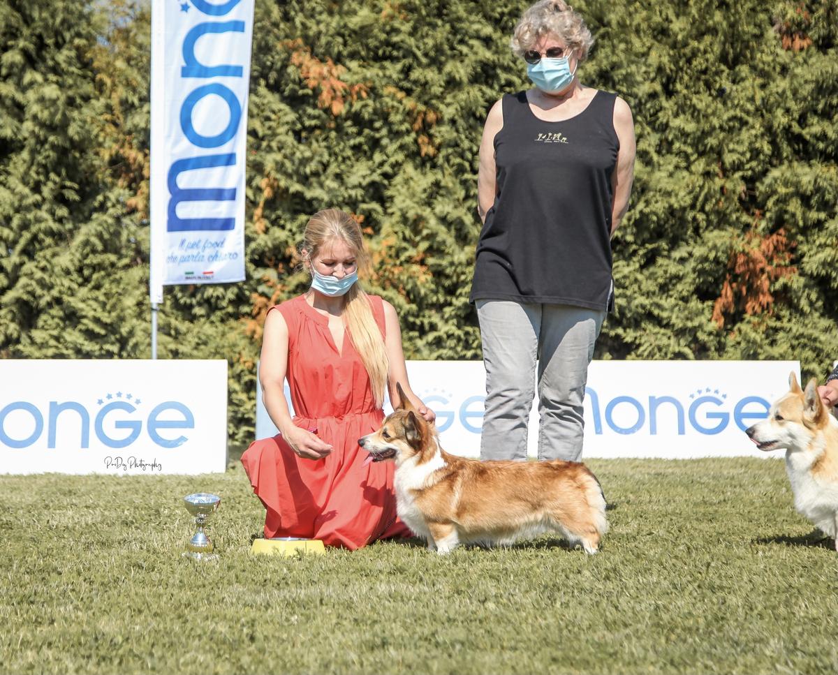 Aleant Fearless Foxy - NBT