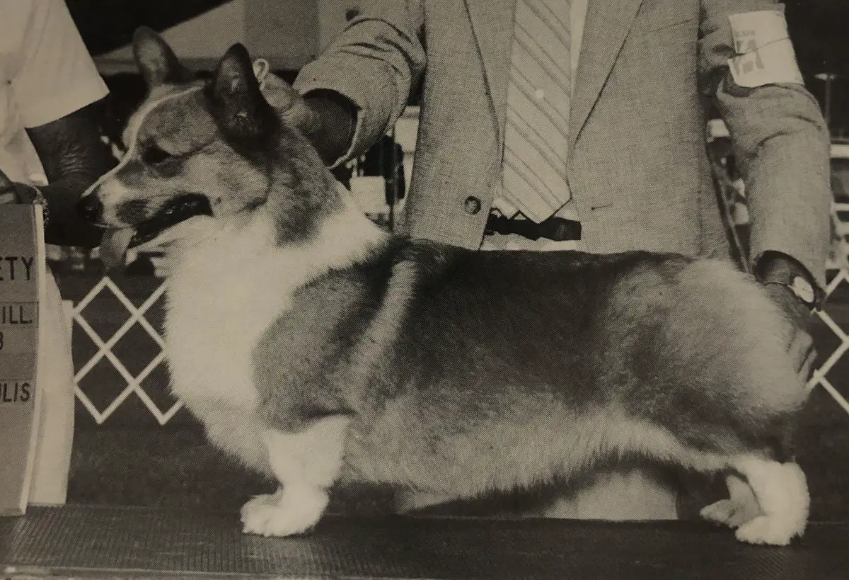 CH Caralon's Mitzi G