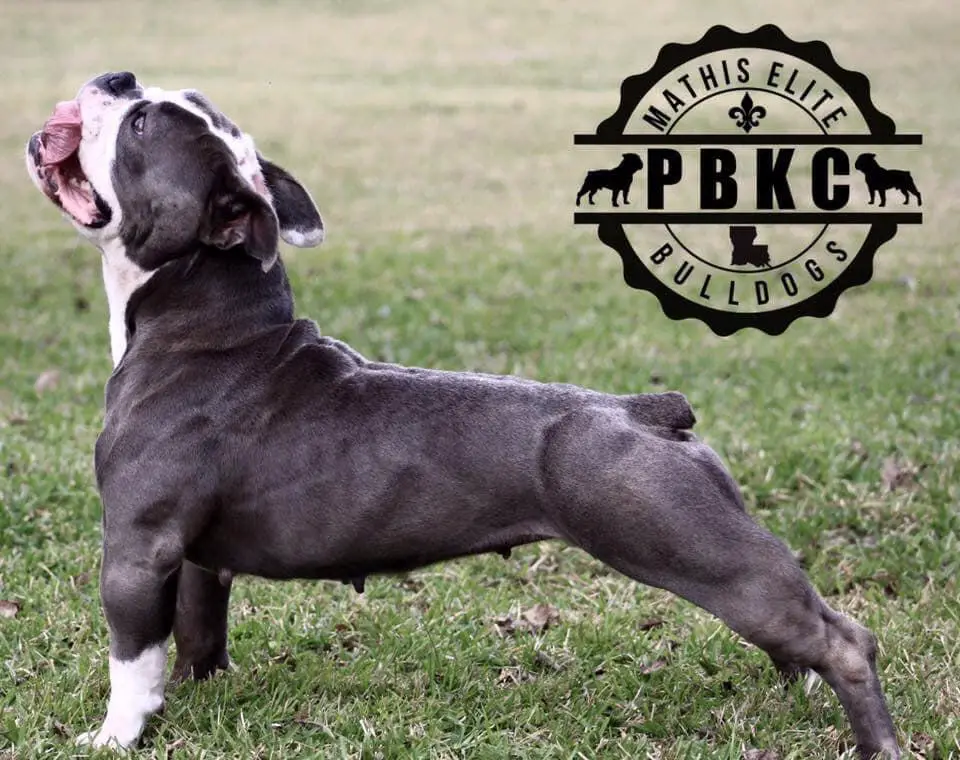 Poppa’s Bloo Sage