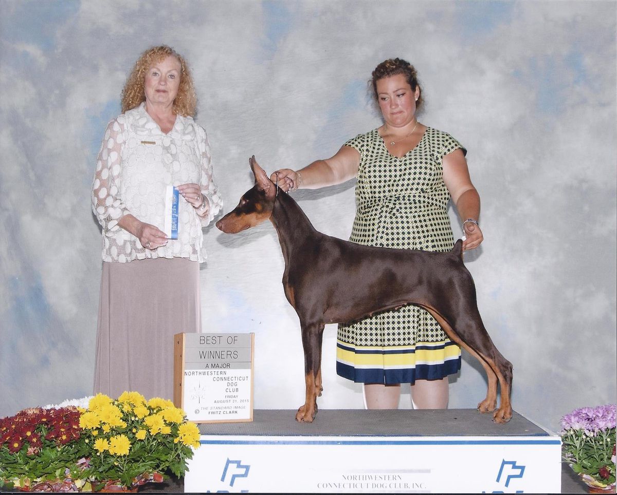 GCH. Mick Ricks Born To Win