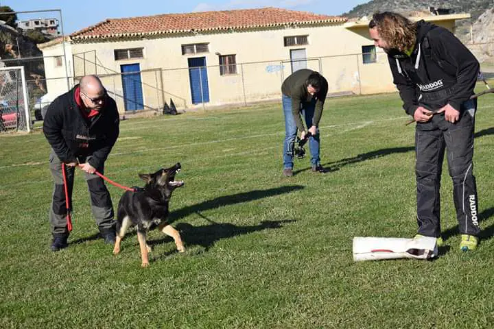 Pinelopi Team Of Crazy Waters