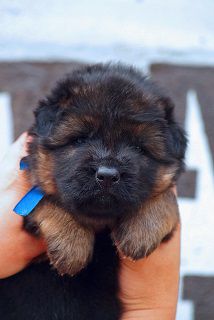 JackPot Grande Del Casa Favore