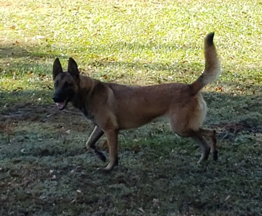 Cara Joy Sigler Newmanhaus