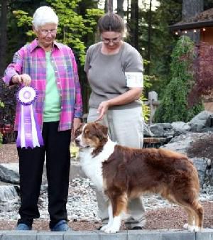 Dekor Lock  and Load