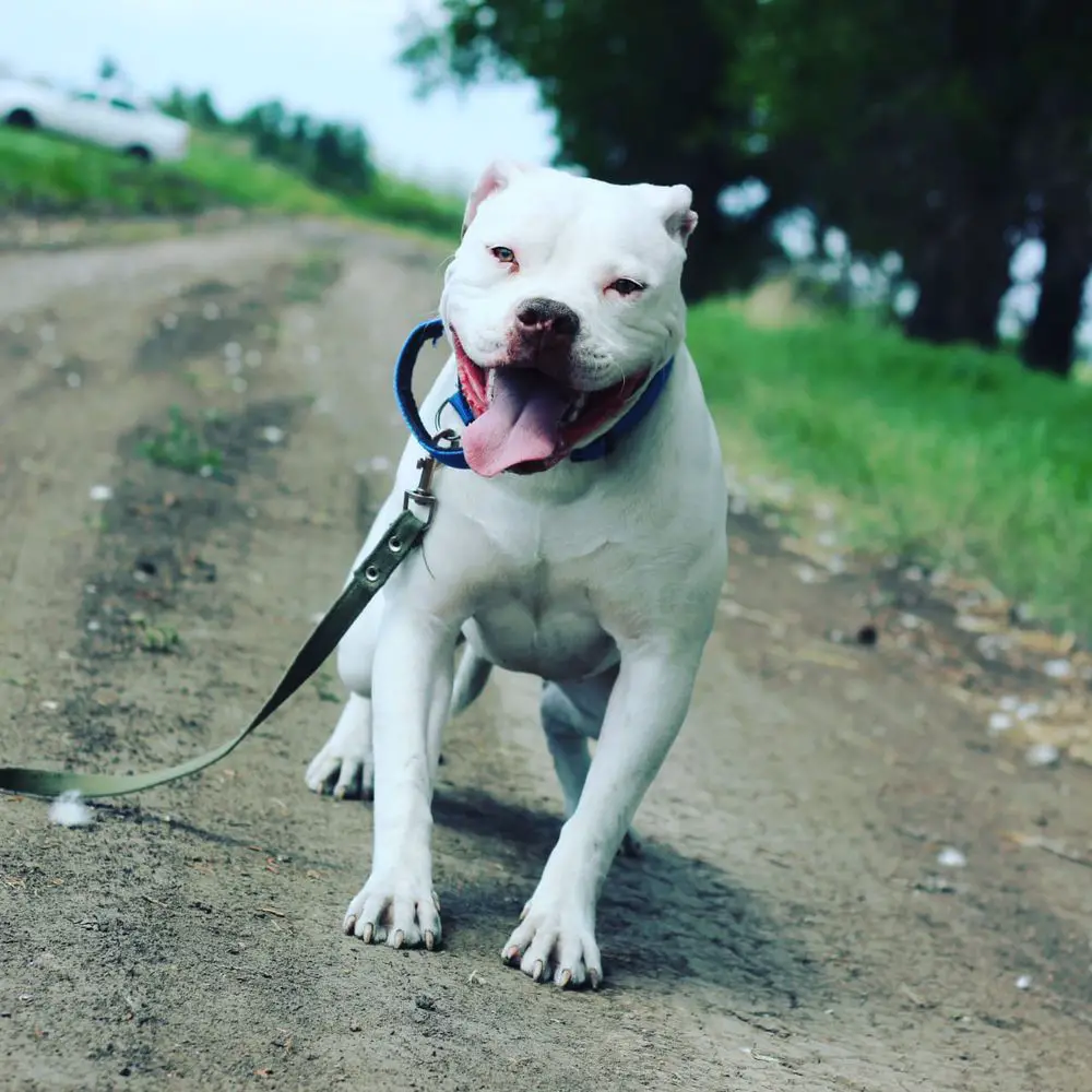 BEAT OF LIFE BIG LOVE