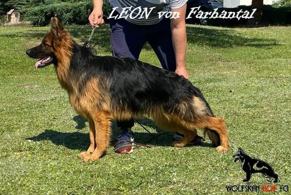 Leon von Farhantal