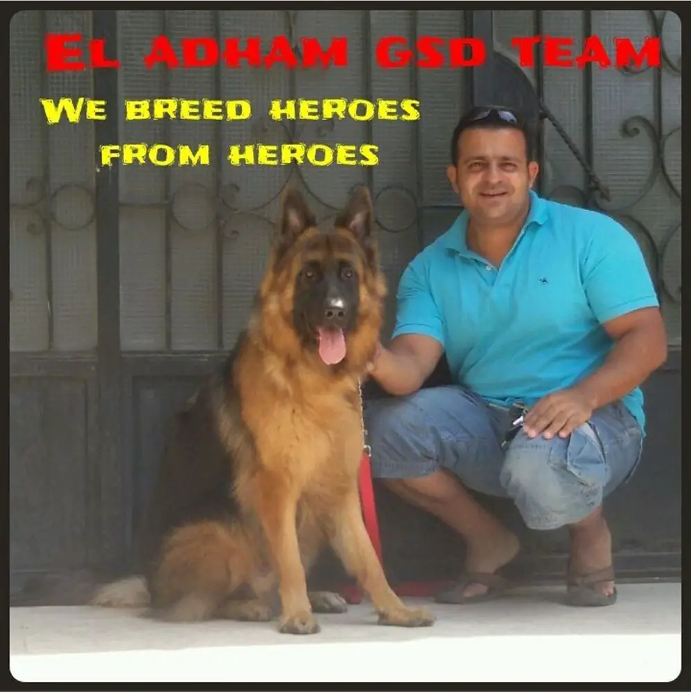 HERO EL ADHAM GSD TEAM