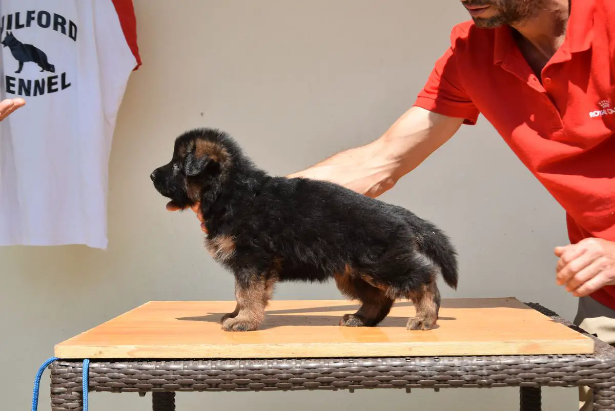 Reta von Team Milford
